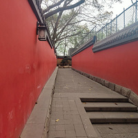 ����̽���ڶ��ڣ���ɽ�²���