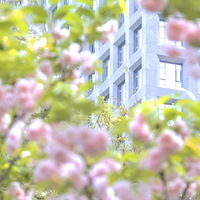 [] ˼䣬-