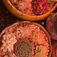 ÿ�괺�춼���ҵ����⼾��ѽ