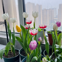 �������㾪�޵��ˣ�ÿ�������𴲶�Ҫȥ��̨��