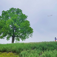 ����ĩ���Ρ��߹��ļ����κ���¶Ӫ����д��~