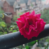 �������ˣ���̨�ϵĻ�����