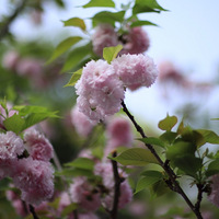 ������������