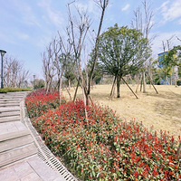 ̤����ץס�����β��