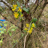 ʱ������������ˮϪ��·���ˣ�����û���з׽��