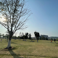 �����ܱ��Σ����ĵ���-¶ӪҰ���õط�