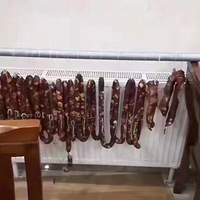 ůƬѬ㳦ڱÿ칫ҳ
