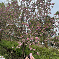 ���δ���