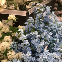 ϲ��ʱ��ʱ����˼�