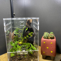 �������ڶ�����΢���۵ĵڶ���