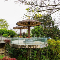 ��ɽƺ���߽��������ŵ���