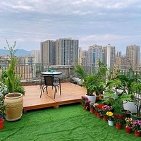 ¥��¶̨����