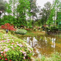 ��ɽƺ��һ�����ʻ�Χ�����Ľ�������