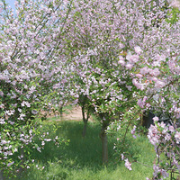 2022�ͻ��ϼ������գ���̽�����ͻ���