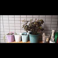 ��¼����֮�����¼�ä��