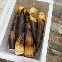 ÿ�β����㶼��