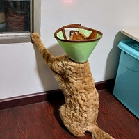 �����ճ���ˣ~