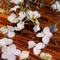 ���ν�ձ������ٺ����У�����һ����ζ��