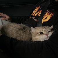 #��������˫Ѫͳ�𽥲�ܵ���Ů����