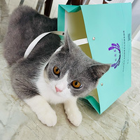 ����Ƥ�����Ǵ��㱳�Ű����Ź������[����]