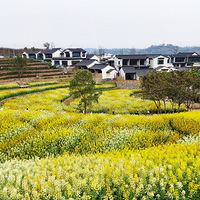 ���������Ҫ���ȥ���ߣ���������԰����Ļ�����ϧ��