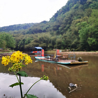 �Ƽ����Ǹ�����Ѻ����