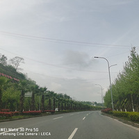 �山һ���ľ��ĵط������ﻨ�㣬���ⰻȻ