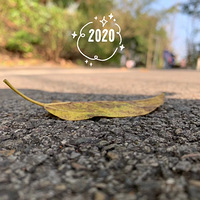 �ܶ���һ��ȥ����ɭ�ֹ�԰�������磬��һ�ιʵ�����