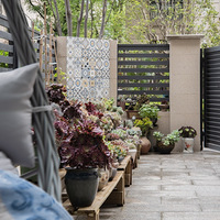 �������꣬һ������������СԺ50ƽ������֮��