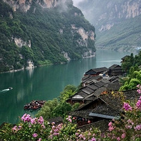 ����ȫ��ɭ�ָ�����54.5%���״ν���ȫ��ǰʮ