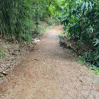 ڳ޽һ·ΰ죿