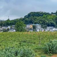 �山�ϱ������߷羰����