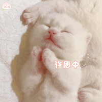 ��330ֵ���򡿻���������������2ƿ25���±�ʤ��������ˮ24ƿ59