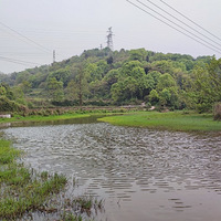 Ұ���죬�����ǣ���СϺ��ժ����