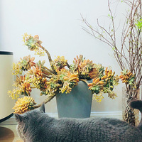 ¥�������ģ������������ˣ�ĳ����Ļ�������