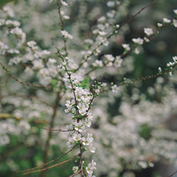 �ҵĿ���¥��¶̨+�ݶ�˫��С��԰�����ϸ��£�