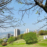 ��С���ѵ�����֮�ң�������ɱ���ӵ��������