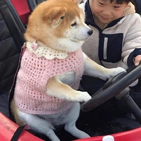 ��331ֵ�����ϲ�����������ݾ�2ƿ12,����δ��������Ӿ��29