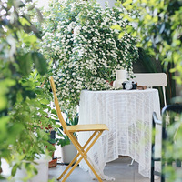 ԰���ռǣ��������Ҹ���