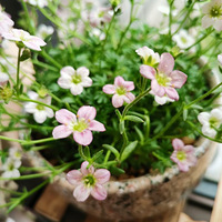 ���������������