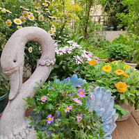 ���軨԰2022�괺