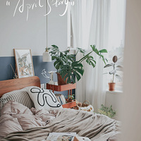 ������һ�����������