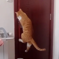 �ҵ��ٻῪ��