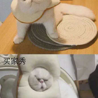 Ц�����ˣ������������VS�����Ҳ�൱����