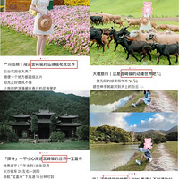 ȫ����ô�๬�鿥�ɾ����������ģ����Ƕ�ȥ��������û������