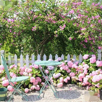 ����һ�����Ƽ������������磬�Զ����㣬�����������ɽ