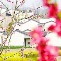 ���¾��ˣ�������Ƭů���µ���԰�����ˣ�ʲôʱ������ȥ�����أ�