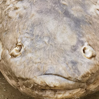 �㣺�������ˣ��Ǿ��������