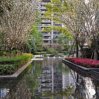 ���ɳ�һ����ס�ڶ��괺ɫ��ʢ��