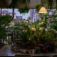 �������СС��԰�ռ�